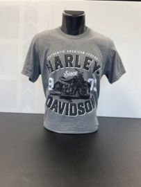 TEE SHIRT CONCESSION - HARLEY DAVIDSON - 