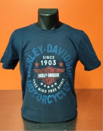 TEE SHIRT CONCESSION "EMOTIONS" POUR HOMMES - HARLEY-DAVIDSON 